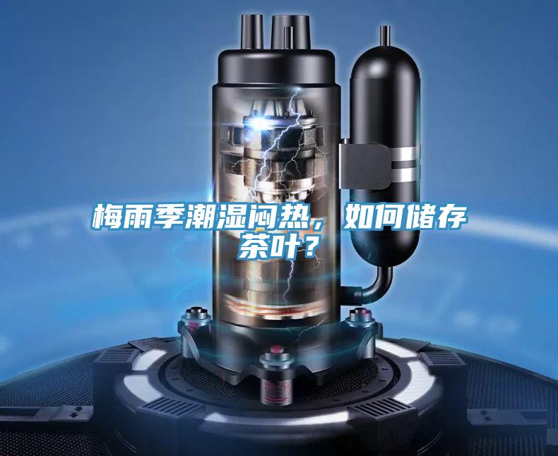 梅雨季潮濕悶熱，如何儲(chǔ)存茶葉？