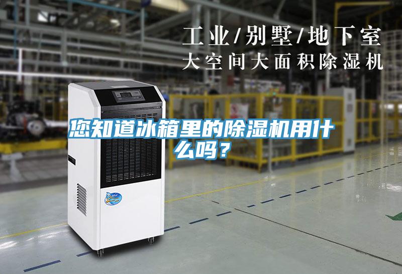 您知道冰箱里的除濕機用什么嗎？