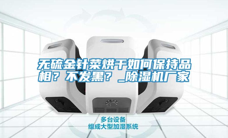 無硫金針菜烘干如何保持品相？不發(fā)黑？_除濕機廠家