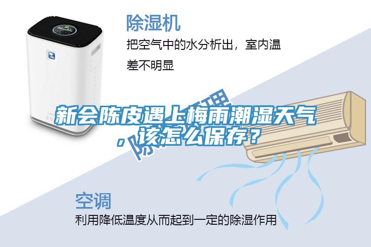 新會陳皮遇上梅雨潮濕天氣，該怎么保存？