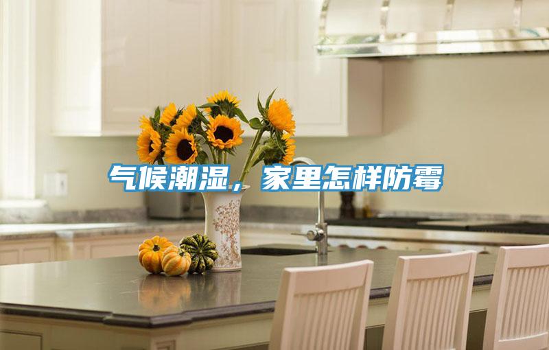 氣候潮濕，家里怎樣防霉