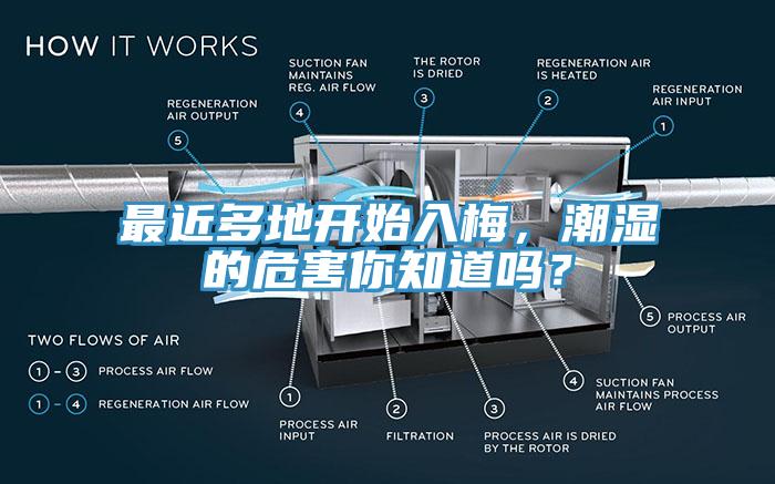 最近多地開始入梅，潮濕的危害你知道嗎？