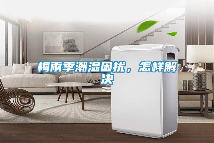 梅雨季潮濕困擾，怎樣解決