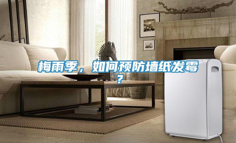 梅雨季，如何預(yù)防墻紙發(fā)霉？