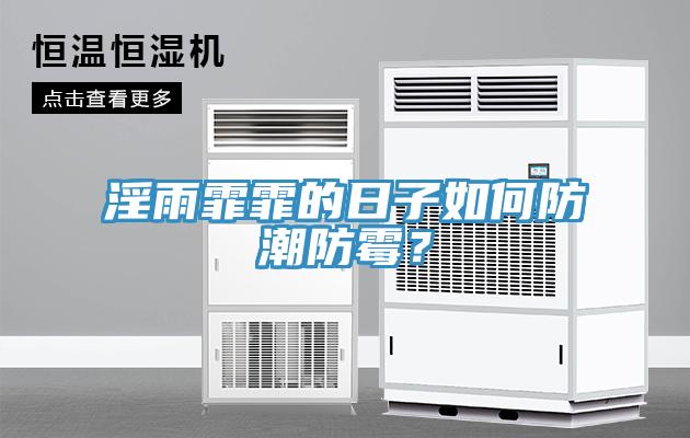 淫雨霏霏的日子如何防潮防霉？
