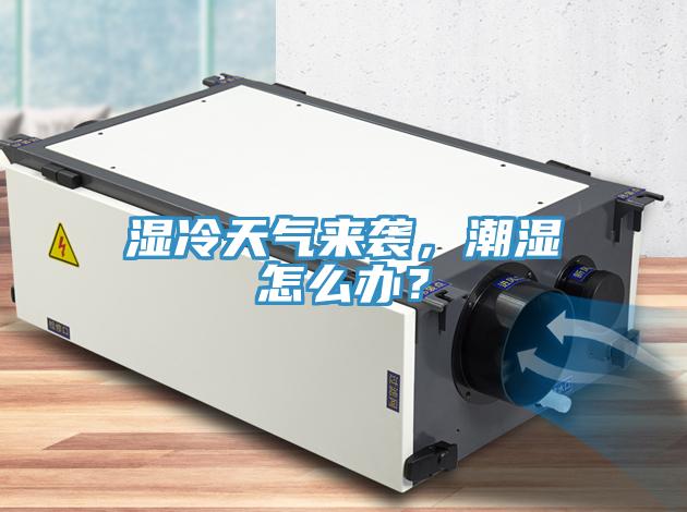 濕冷天氣來襲，潮濕怎么辦？