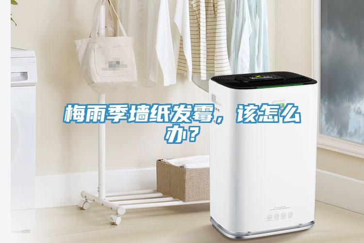 梅雨季墻紙發(fā)霉，該怎么辦？
