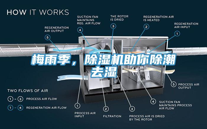 梅雨季，除濕機助你除潮去濕