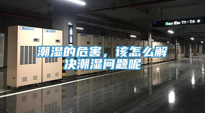 潮濕的危害，該怎么解決潮濕問題呢