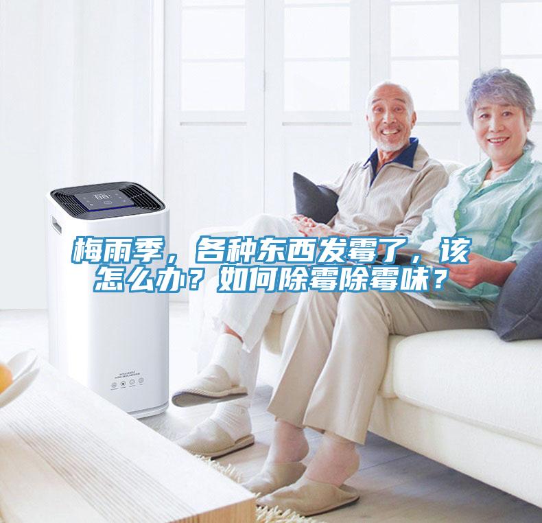 梅雨季，各種東西發(fā)霉了，該怎么辦？如何除霉除霉味？