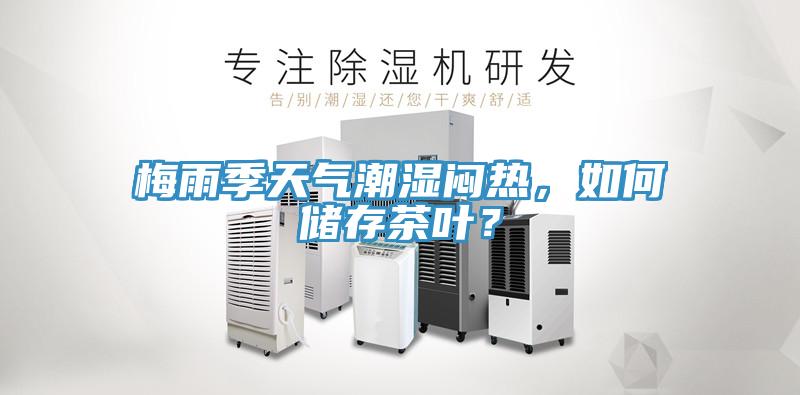梅雨季天氣潮濕悶熱，如何儲存茶葉？