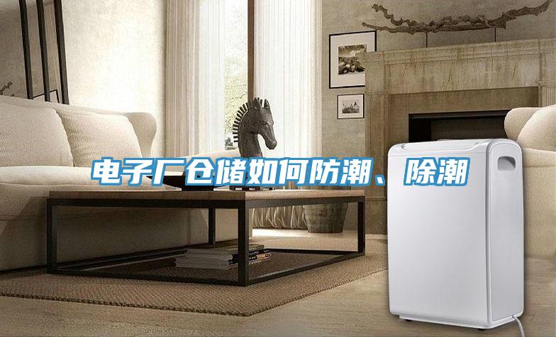 電子廠(chǎng)倉(cāng)儲(chǔ)如何防潮、除潮