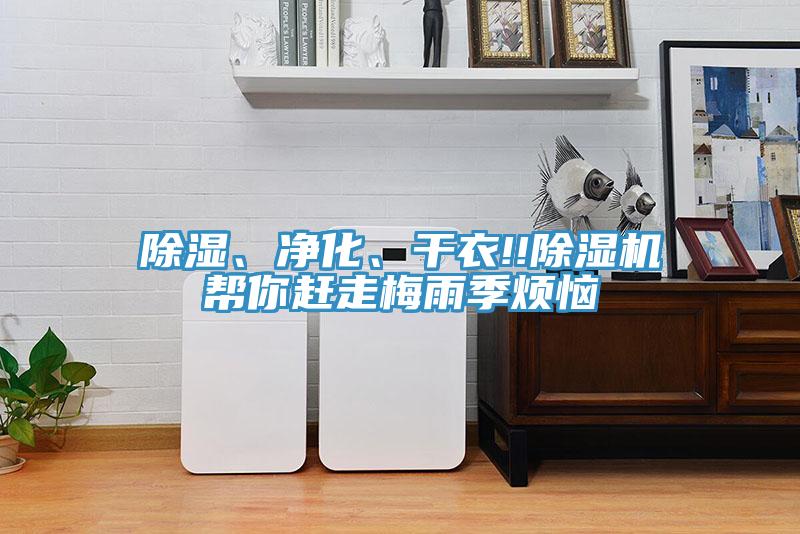 除濕、凈化、干衣!!除濕機(jī)幫你趕走梅雨季煩惱
