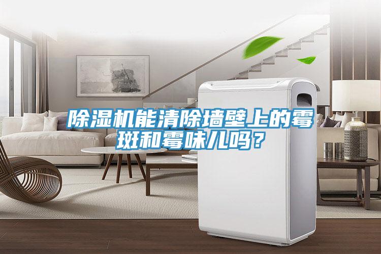 除濕機(jī)能清除墻壁上的霉斑和霉味兒嗎？