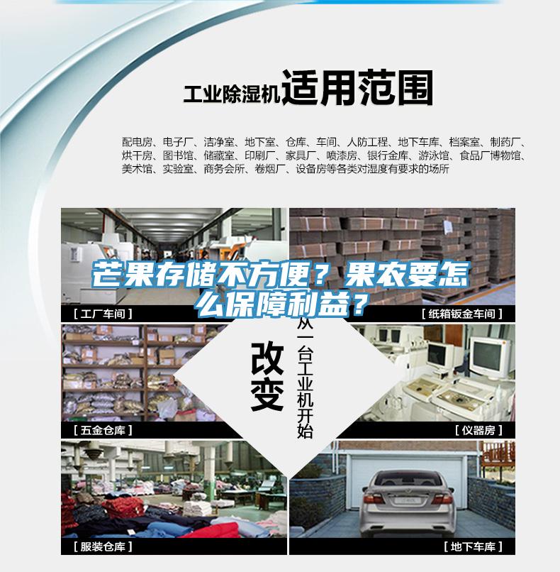 芒果存儲不方便？果農(nóng)要怎么保障利益？