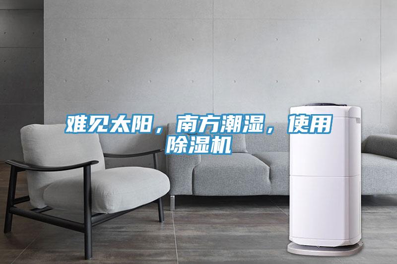難見太陽，南方潮濕，使用除濕機