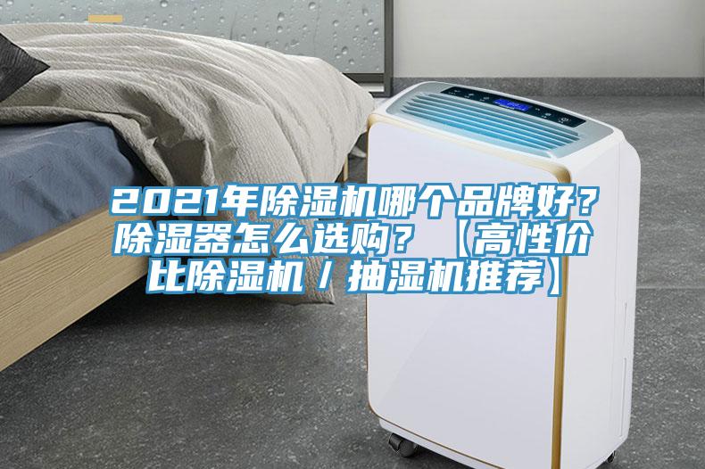 2021年除濕機(jī)哪個(gè)品牌好？除濕器怎么選購？【高性價(jià)比除濕機(jī)／抽濕機(jī)推薦】