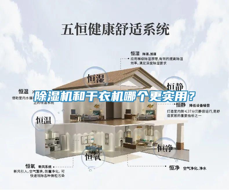 除濕機和干衣機哪個更實用？