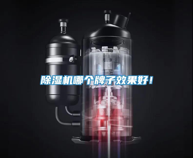 除濕機(jī)哪個(gè)牌子效果好！