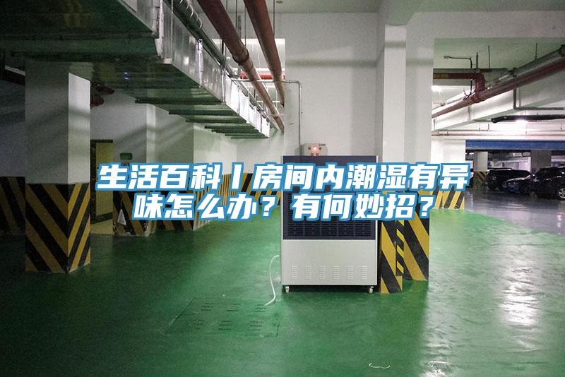 生活百科丨房間內(nèi)潮濕有異味怎么辦？有何妙招？