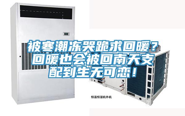 被寒潮凍哭跪求回暖？回暖也會被回南天支配到生無可戀！