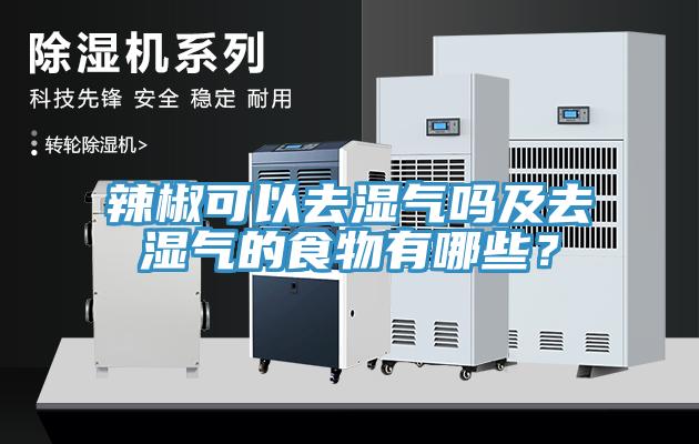 辣椒可以去濕氣嗎及去濕氣的食物有哪些？