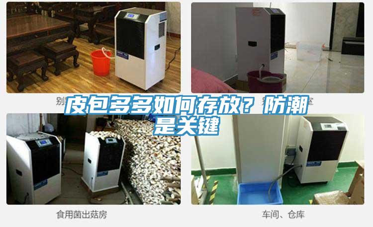 皮包多多如何存放？防潮是關(guān)鍵