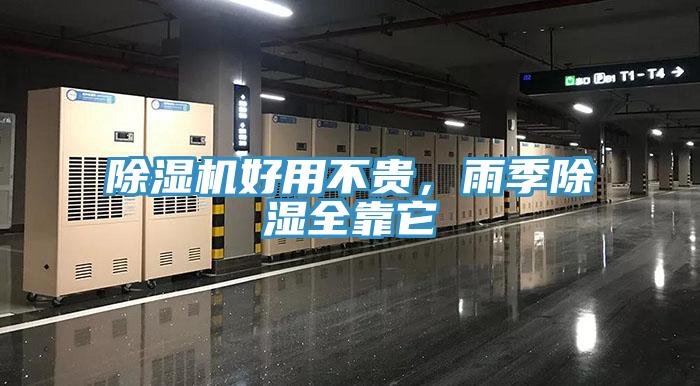 除濕機好用不貴，雨季除濕全靠它