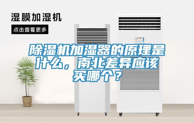 除濕機(jī)加濕器的原理是什么，南北差異應(yīng)該買哪個？