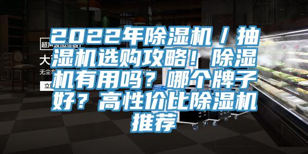 2022年除濕機(jī)／抽濕機(jī)選購(gòu)攻略！除濕機(jī)有用嗎？哪個(gè)牌子好？高性價(jià)比除濕機(jī)推薦