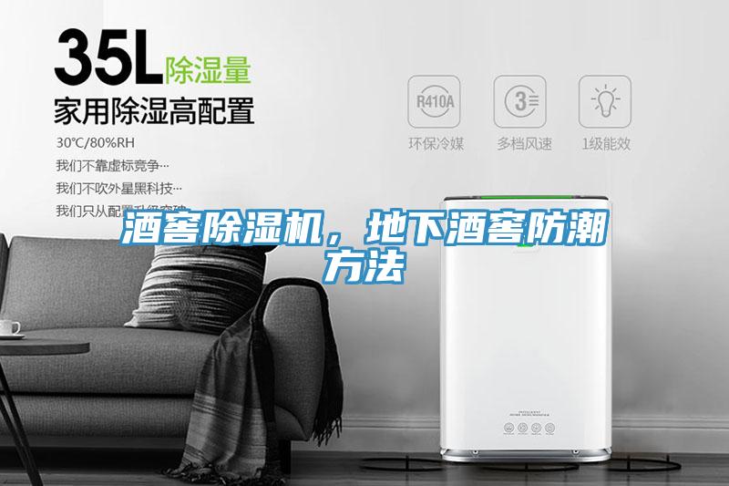 酒窖除濕機，地下酒窖防潮方法