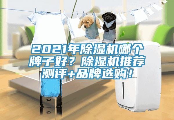 2021年除濕機哪個牌子好？除濕機推薦測評+品牌選購！