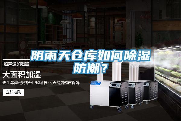 陰雨天倉庫如何除濕防潮？