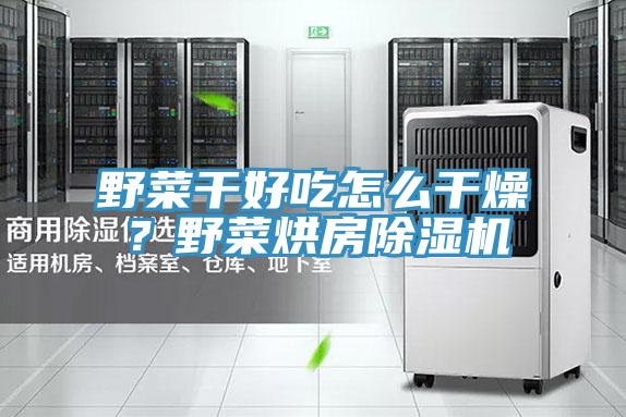 野菜干好吃怎么干燥？野菜烘房除濕機(jī)