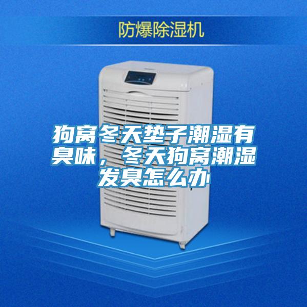 狗窩冬天墊子潮濕有臭味，冬天狗窩潮濕發(fā)臭怎么辦