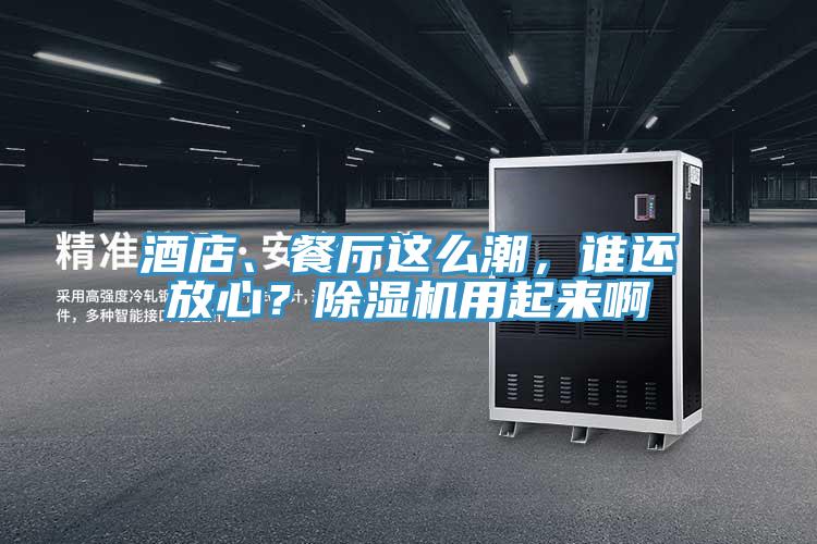 酒店、餐廳這么潮，誰還放心？除濕機(jī)用起來啊