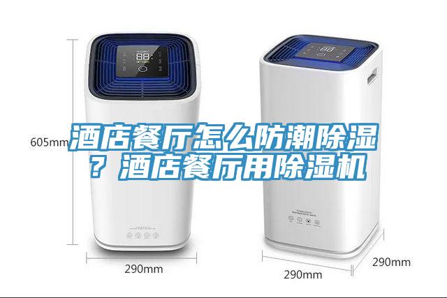 酒店餐廳怎么防潮除濕？酒店餐廳用除濕機(jī)