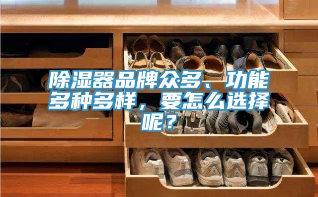 除濕器品牌眾多、功能多種多樣，要怎么選擇呢？