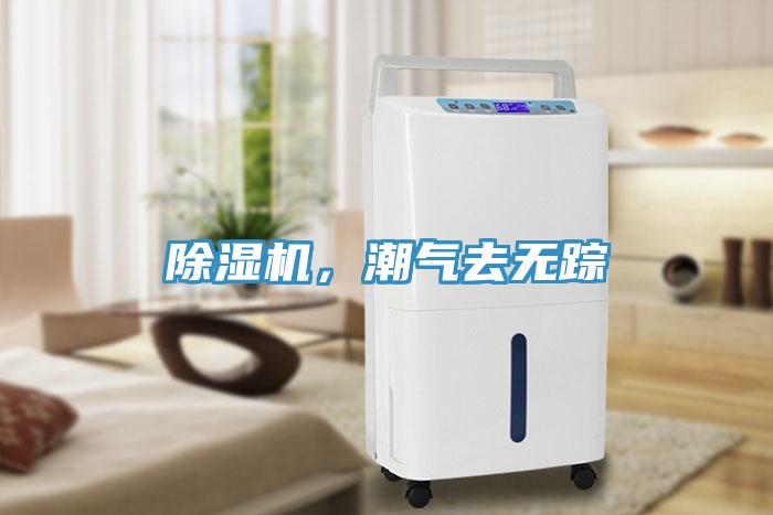 除濕機(jī)，潮氣去無(wú)蹤