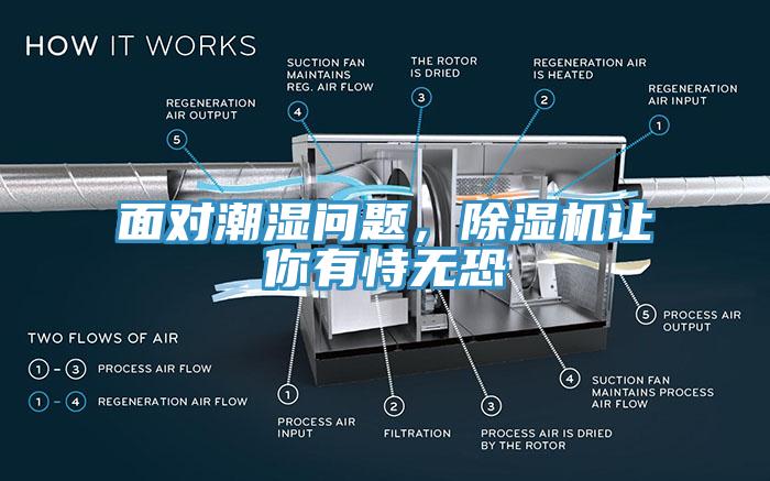 面對(duì)潮濕問(wèn)題，除濕機(jī)讓你有恃無(wú)恐