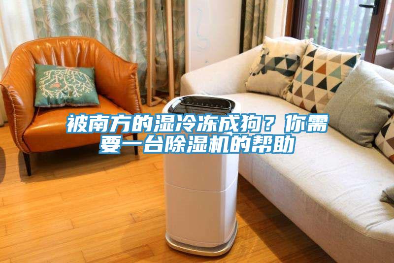被南方的濕冷凍成狗？你需要一臺除濕機的幫助