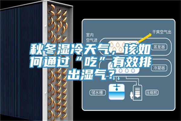 秋冬濕冷天氣，該如何通過“吃”有效排出濕氣？