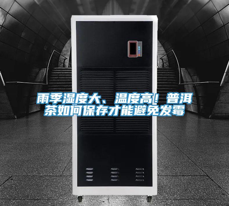 雨季濕度大、溫度高！普洱茶如何保存才能避免發(fā)霉