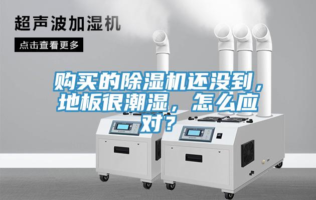 購(gòu)買的除濕機(jī)還沒到，地板很潮濕，怎么應(yīng)對(duì)？