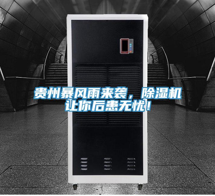 貴州暴風(fēng)雨來襲，除濕機(jī)讓你后患無憂！
