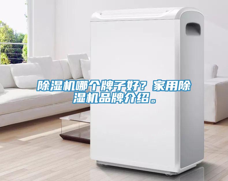 除濕機(jī)哪個(gè)牌子好？家用除濕機(jī)品牌介紹。