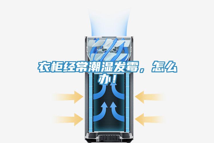 衣柜經(jīng)常潮濕發(fā)霉，怎么辦！