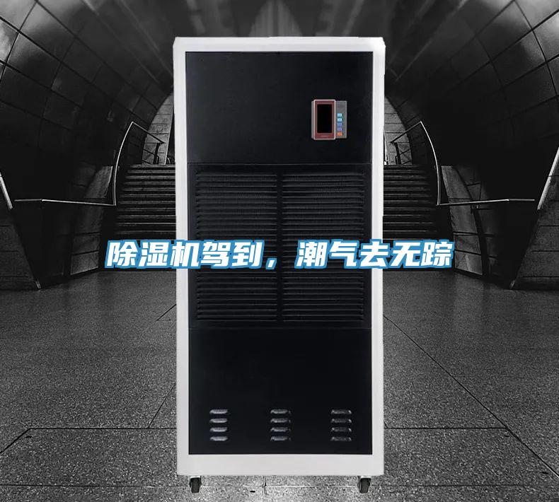 除濕機(jī)駕到，潮氣去無蹤
