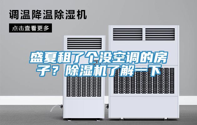 盛夏租了個(gè)沒空調(diào)的房子？除濕機(jī)了解一下