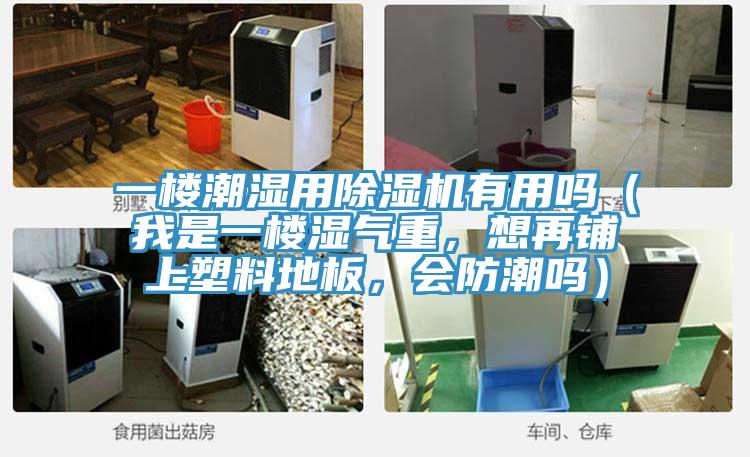 一樓潮濕用除濕機(jī)有用嗎（我是一樓濕氣重，想再鋪上塑料地板，會防潮嗎）